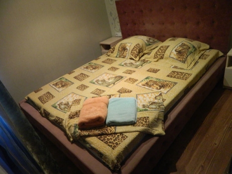 Спальня в двухкомнатной квартире посуточно в Харькове.